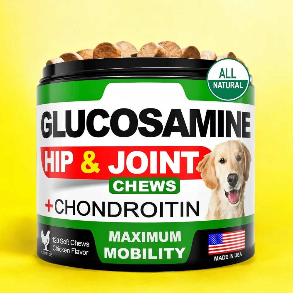 Best Joint Supplements for Senior Dogs: What Actually Works