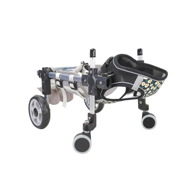 Dog Wheelchair Guide: When Does Your Dog Need One?