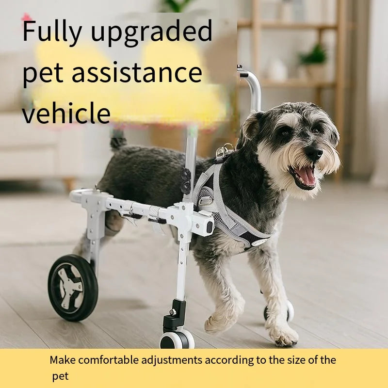 Pawonia 4-Wheel Dog Wheelchair — Freedom & Mobility for Disabled Hind Legs