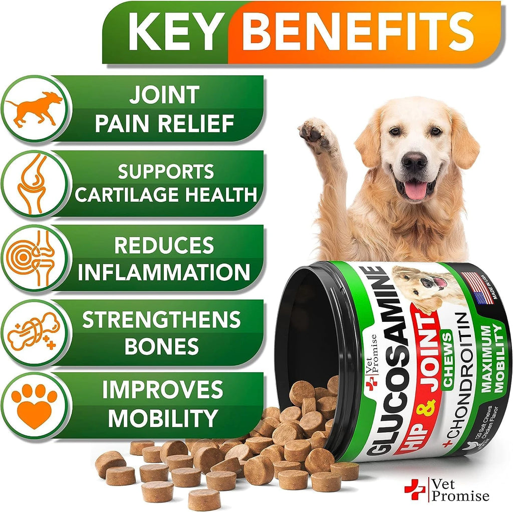 Pawonia Hip & Joint Soft Chews — Glucosamine, Chondroitin, MSM & Turmeric for Senior Dogs