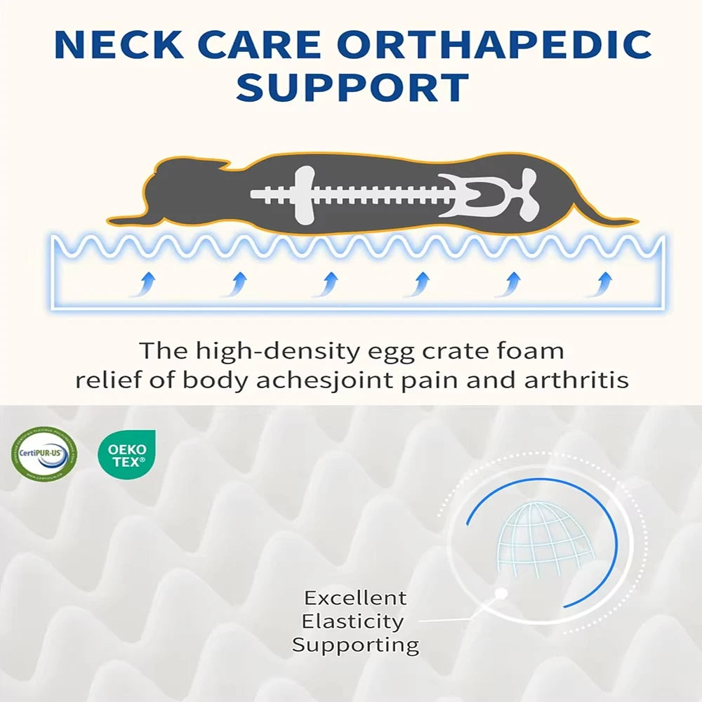 Pawonia Orthopedic Dog Bed — Egg-Crate Foam for Senior Dogs with Arthritis & Joint Pain