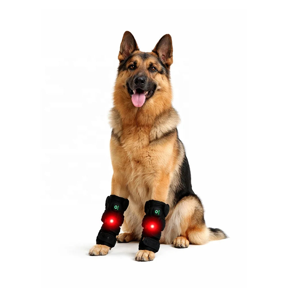 Pawonia Red Light Therapy Belt — Drug-Free Pain Relief for Dogs & Cats