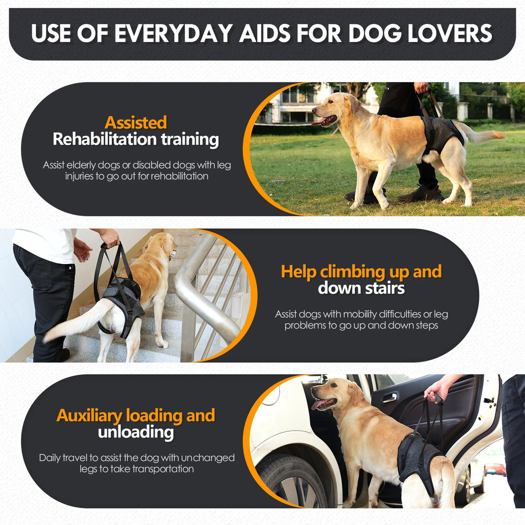 Pawonia Hind Leg Support Harness — Lift Sling for Disabled & Senior Dogs