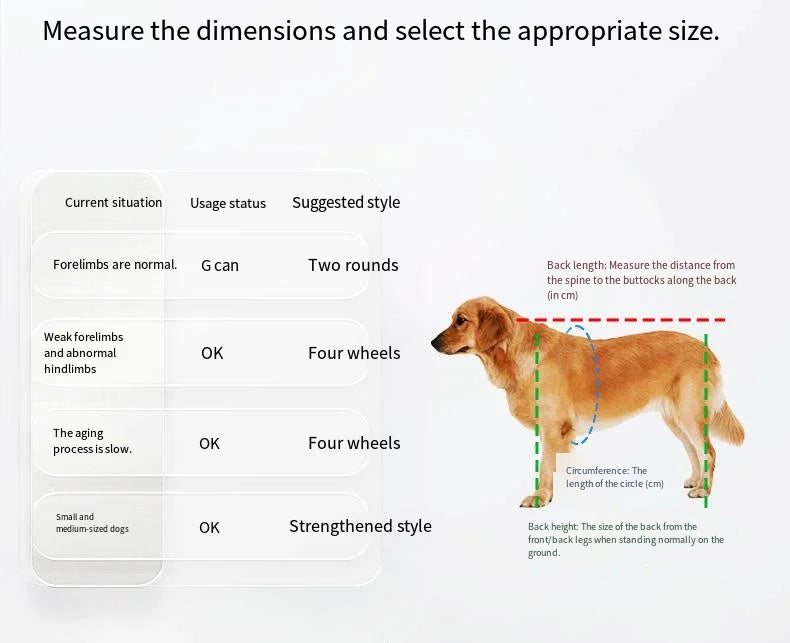 Pawonia 4-Wheel Dog Wheelchair — Freedom & Mobility for Disabled Hind Legs