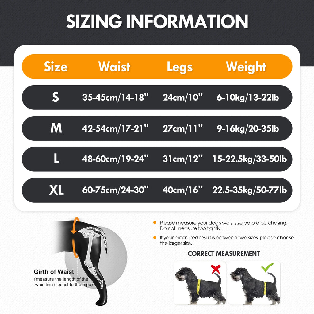 Pawonia Hind Leg Support Harness — Lift Sling for Disabled & Senior Dogs