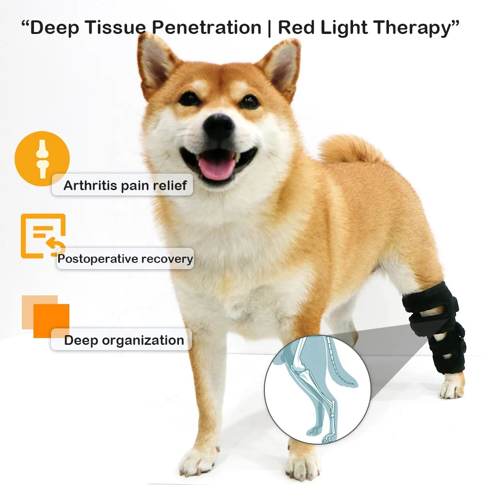 Pawonia Red Light Therapy Belt — Drug-Free Pain Relief for Dogs & Cats