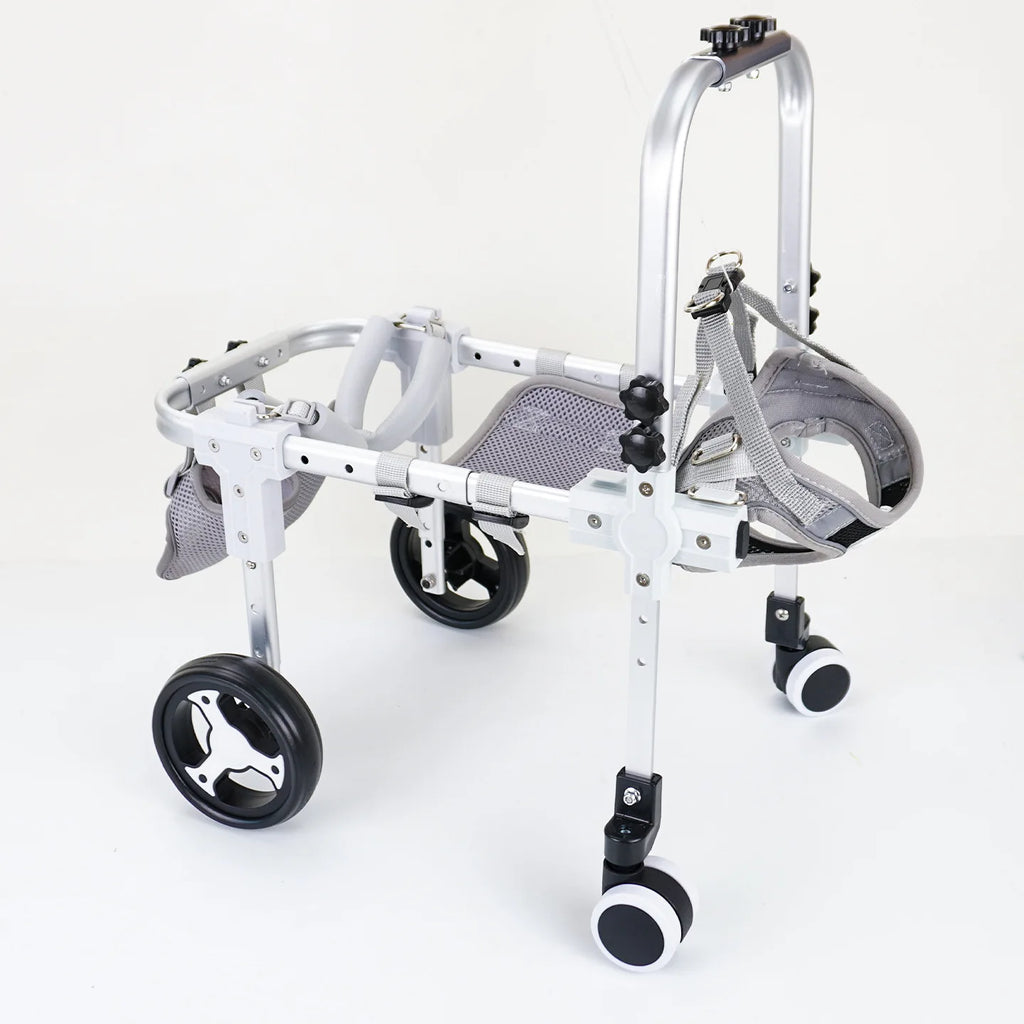 Pawonia 4-Wheel Dog Wheelchair — Freedom & Mobility for Disabled Hind Legs