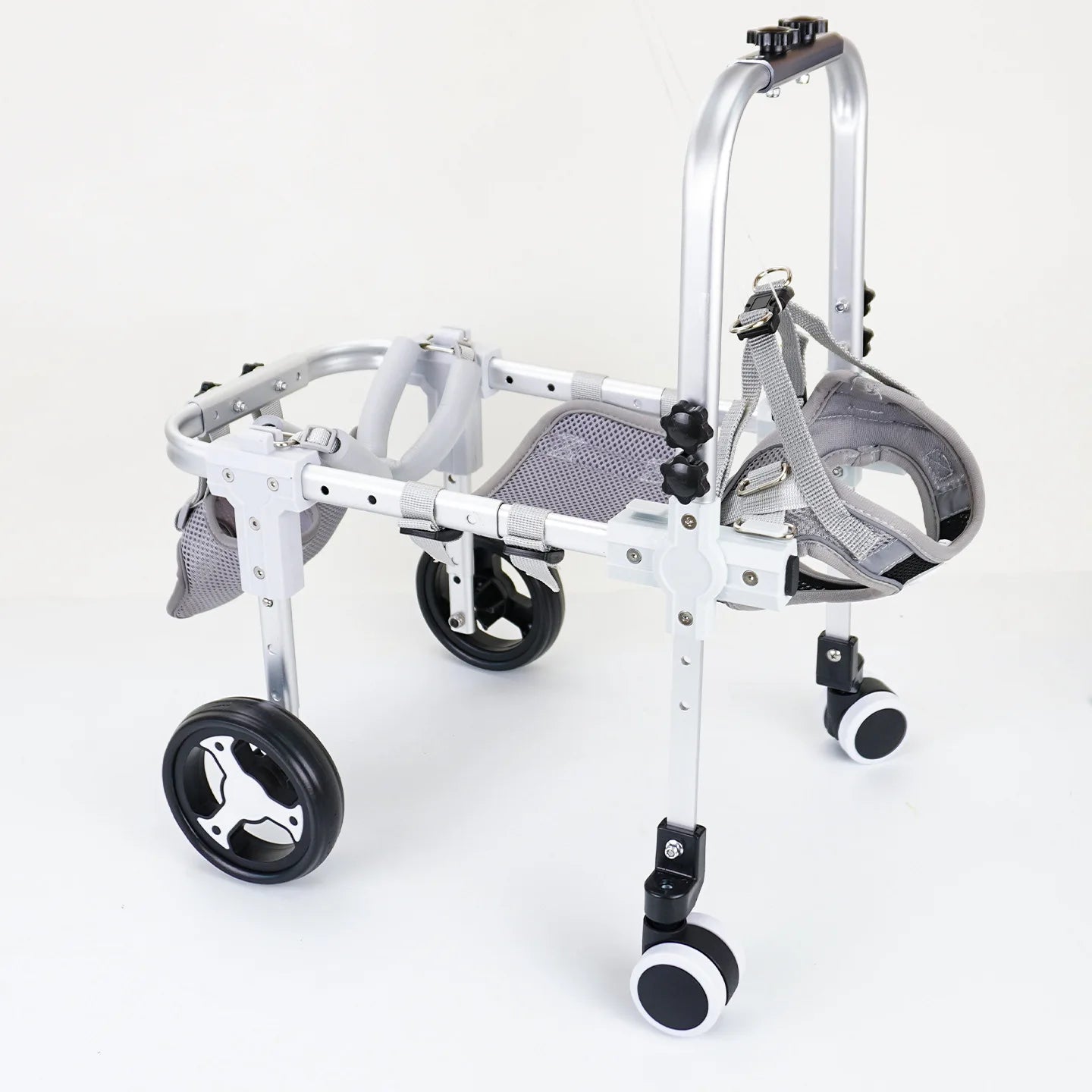 Pawonia 4-Wheel Dog Wheelchair — Freedom & Mobility for Disabled Hind Legs