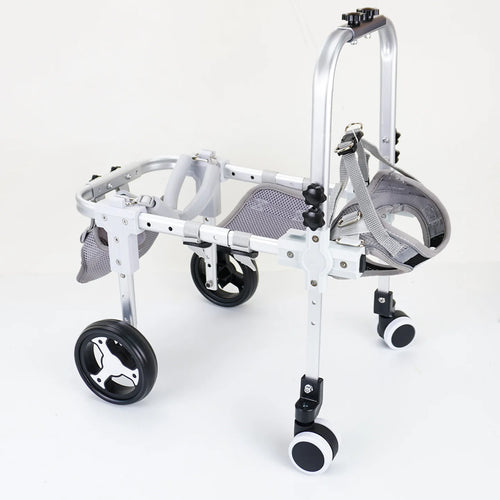Pawonia 4-Wheel Dog Wheelchair — Freedom & Mobility for Disabled Hind Legs