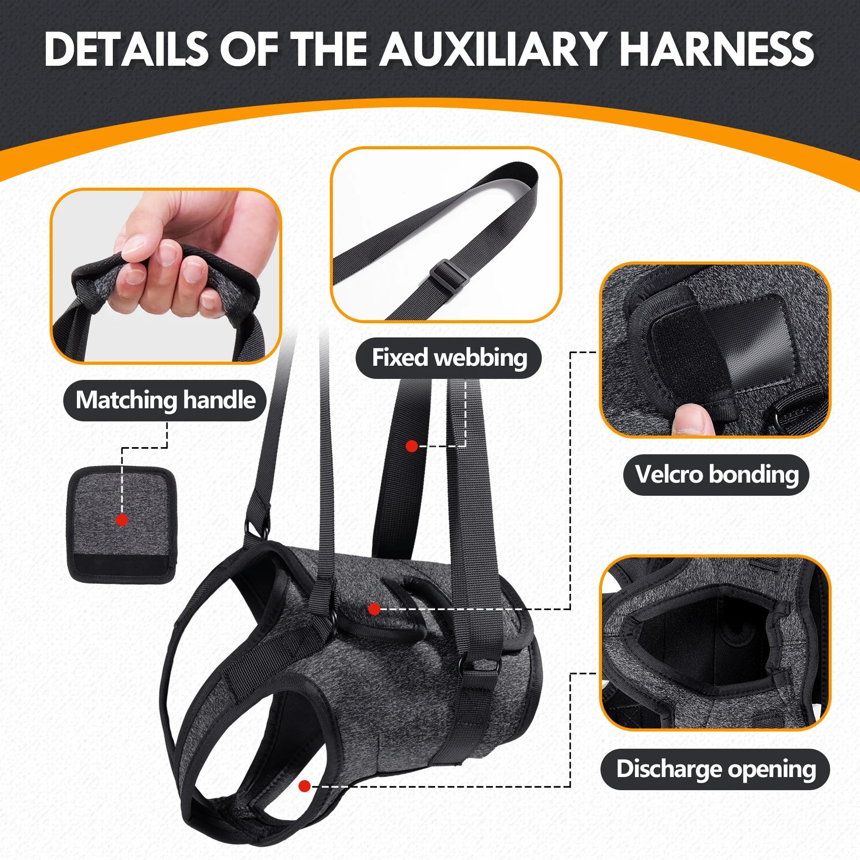 Pawonia Hind Leg Support Harness — Lift Sling for Disabled & Senior Dogs